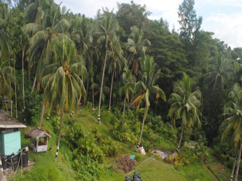 Andaman Galley Boutique Hotel Port Blair Extérieur photo